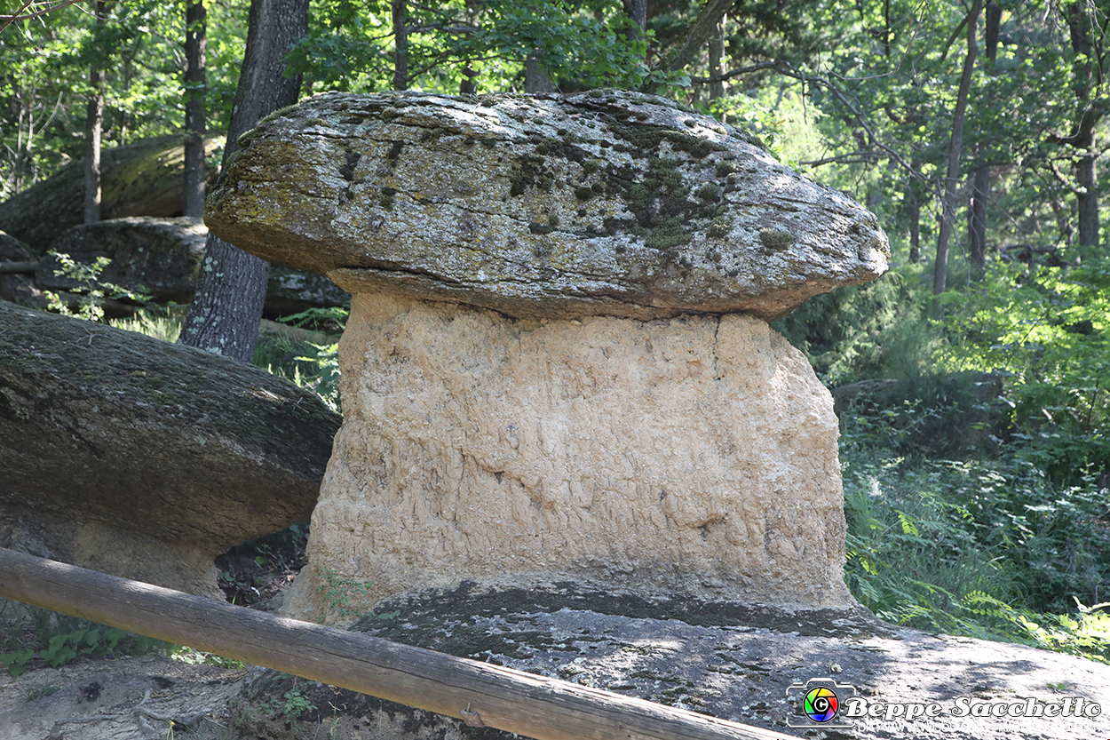 VBS_8889 - I Ciciu del Villar. Villar San Costanzo. Val Maira (Cuneo).jpg